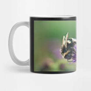 Scruffy Old Bumble Bee macro Mug